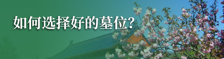 施孝园